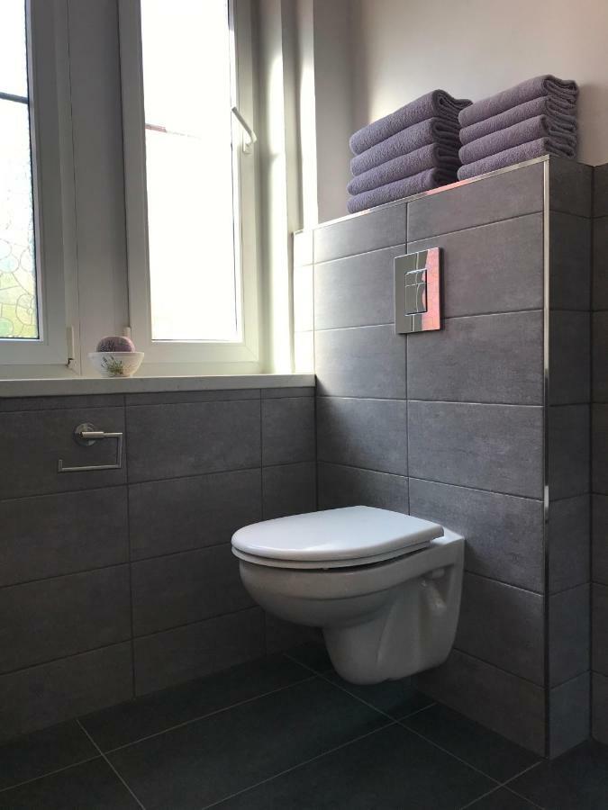 Apartman Havlickova 카를로비바리 외부 사진