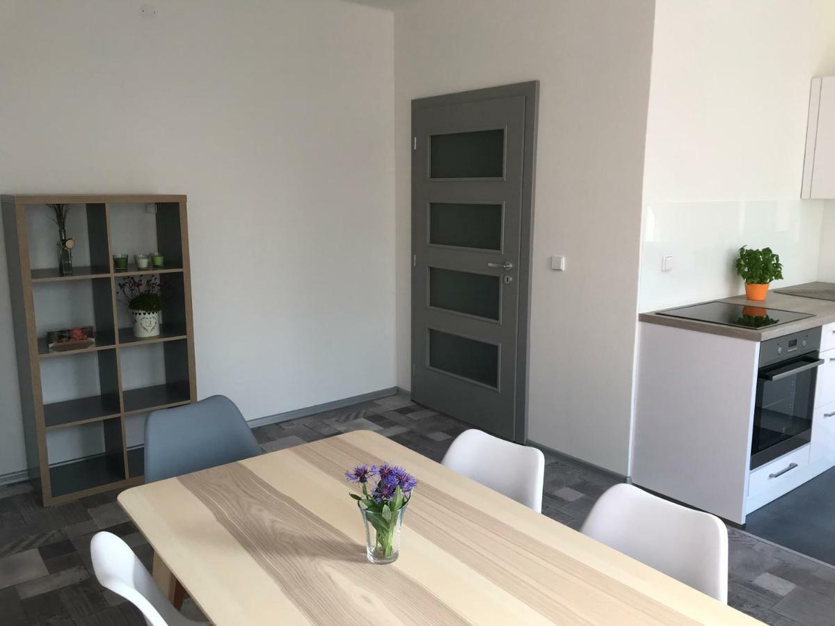 Apartman Havlickova 카를로비바리 외부 사진